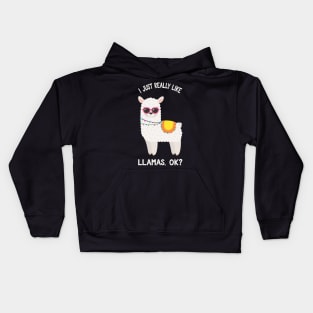 I Just Really Like Llamas Okay? - Funny Saying Llamas Kids Hoodie